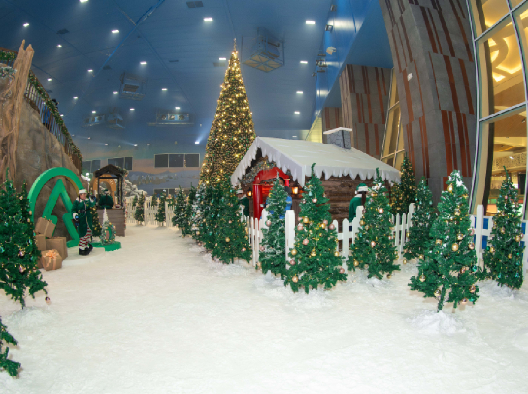 SAD - Festive pass 1072 x 800